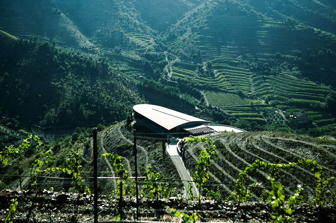 http://www.barcelonavinos.com/bodegas/ferrer-bobet